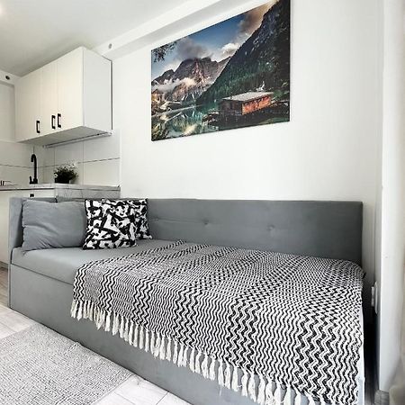 Apartament Goplanska Free Parking Self Check-In 24H 波兹南 外观 照片