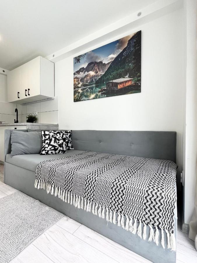 Apartament Goplanska Free Parking Self Check-In 24H 波兹南 外观 照片