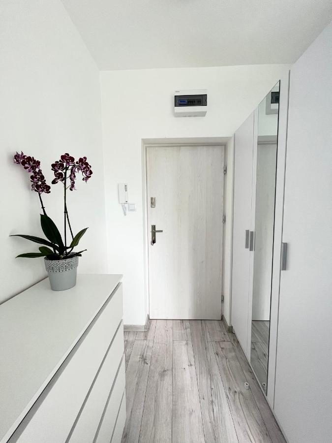 Apartament Goplanska Free Parking Self Check-In 24H 波兹南 外观 照片