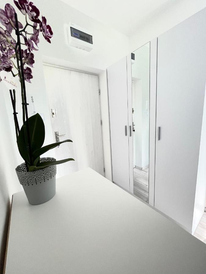Apartament Goplanska Free Parking Self Check-In 24H 波兹南 外观 照片
