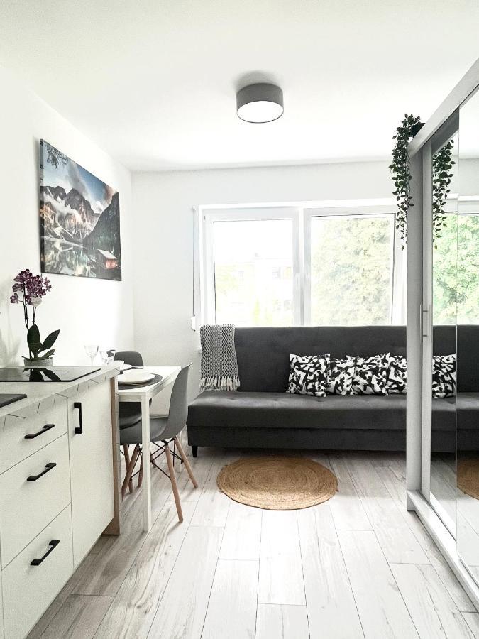 Apartament Goplanska Free Parking Self Check-In 24H 波兹南 外观 照片
