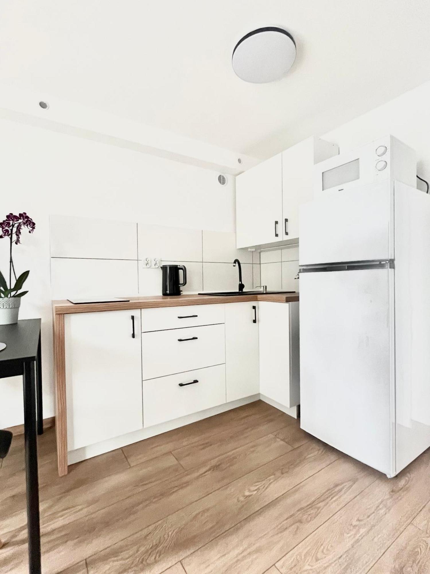 Apartament Goplanska Free Parking Self Check-In 24H 波兹南 外观 照片