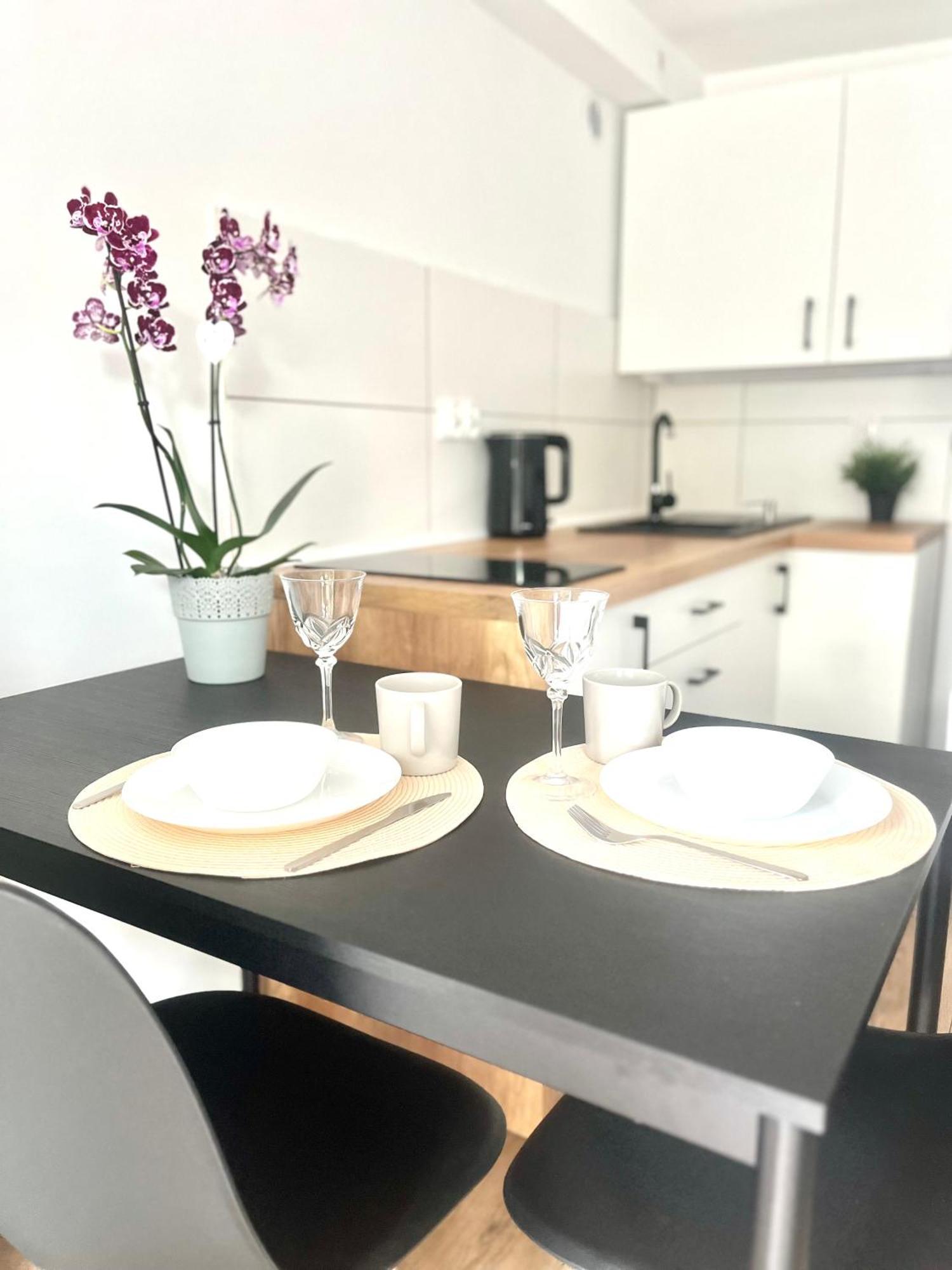 Apartament Goplanska Free Parking Self Check-In 24H 波兹南 外观 照片