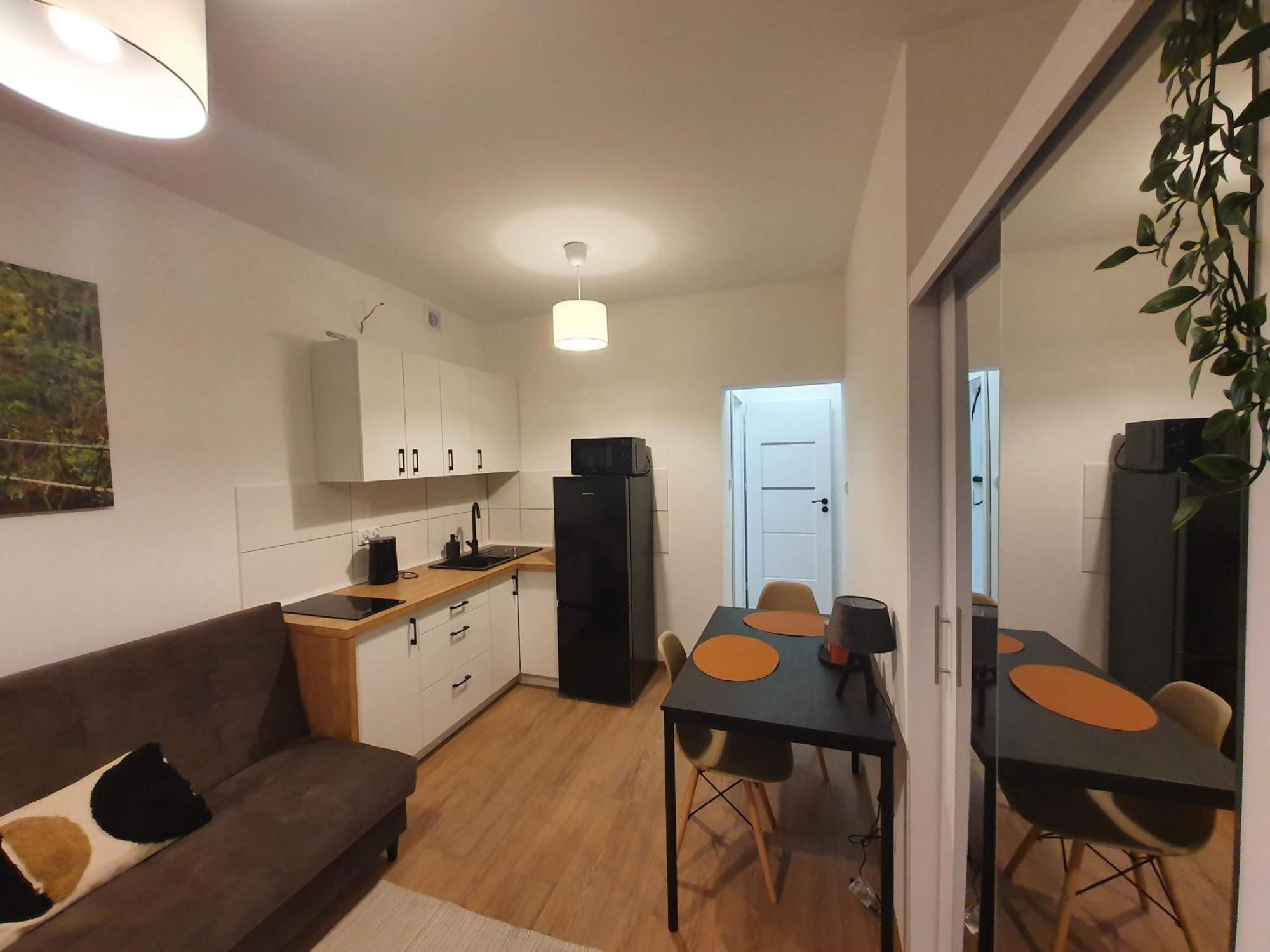 Apartament Goplanska Free Parking Self Check-In 24H 波兹南 外观 照片
