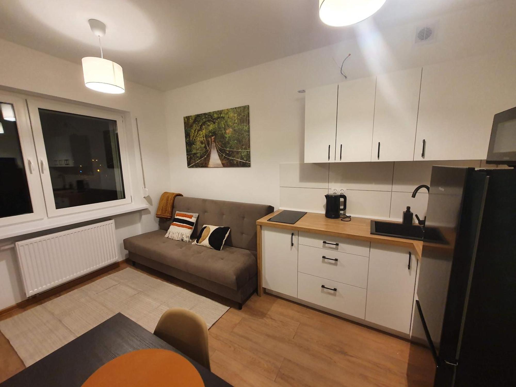 Apartament Goplanska Free Parking Self Check-In 24H 波兹南 外观 照片